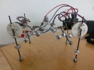 CheerahBot - Flexible Spine :: CIMG0093